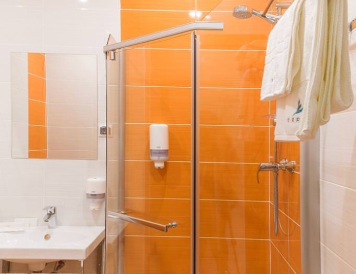 Номер стандарт с 1 двуспальной кроватью (с завтраком) - Санаторий Parus medical resort & SPA / Парус Новосибирск